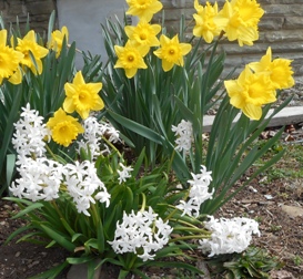Spring